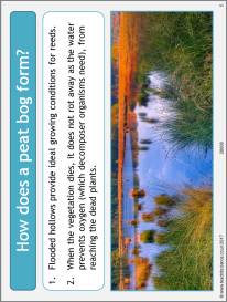 Land use – peat bogs