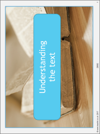 Understanding the text