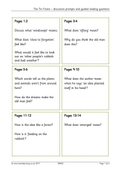 'The Tin Forest' – discussion prompts and guided reading questions