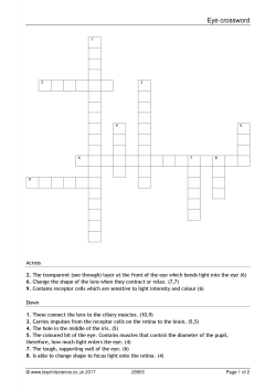 Eye crossword Eye crossword