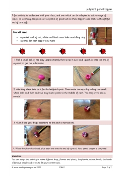 Ladybird pencil topper