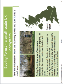 Epping Forest - a small scale UK ecosystem