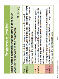 Characteristics of rainforests