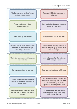 Insect information cards