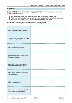 The carbon cycle and energy security flashcards