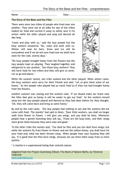 The Story of the Bees and the Flies - comprehension