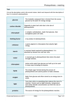 photosynthesis worksheet ks4