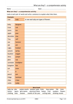 What are they? - a comprehension activity