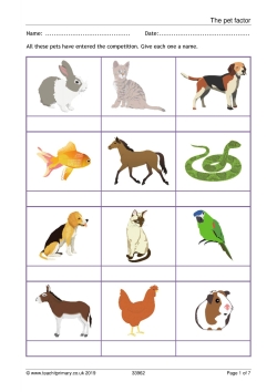 The pet factor
