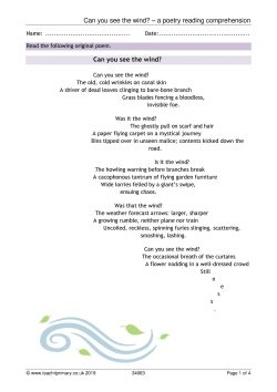 Can you see the wind? - a poetry reading comprehension