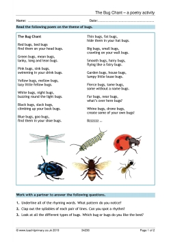 The Bug Chant – a poetry activity