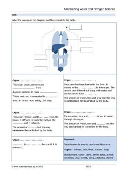 Maintaining water and nitrogen balance Maintaining water and nitrogen balance