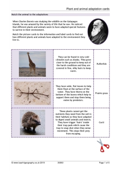 Plant and animal adaptation cards Plant and animal adaptation cards