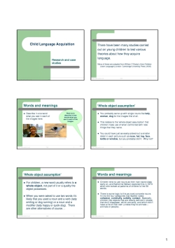 Child language acquisition - an introduction to research and case studies