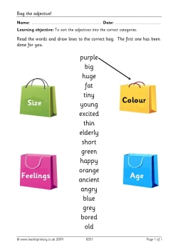 Bag the adjective Bag the adjective